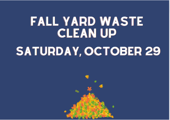 Fall Clean Up